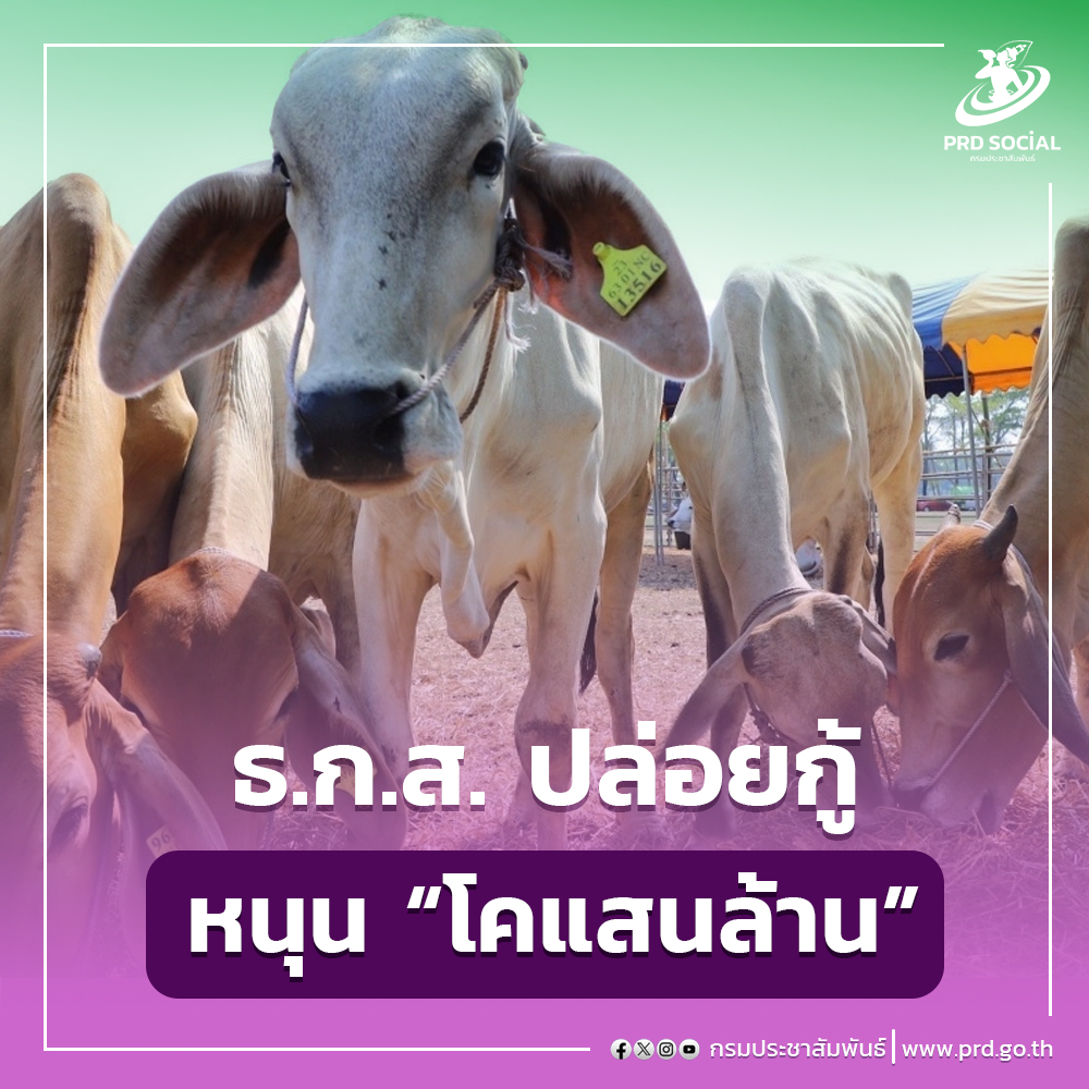 ครม. ไฟเขียวโคแสนล้าน ให้ ธ.ก.ส. ปล่อยกู้