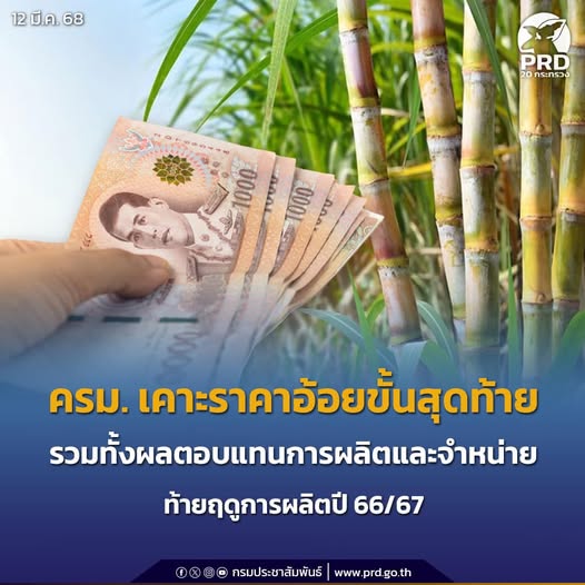 ครม. เคาะราคาอ้อยขั้นสุดท้าย - ผลตอบแทนการผลิตและจำหน่ายน้ำตาลทรายขั้นสุดท้ายฤดูการผลิตปี 2566/2567