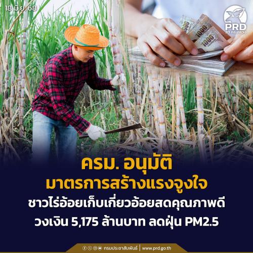 ครม. อนุมัติมาตรการสร้างแรงจูงใจชาวไร่อ้อยเก็บเกี่ยวอ้อยสดคุณภาพดี วงเงิน 5,175 ล้านบาท ลดฝุ่น PM2.5