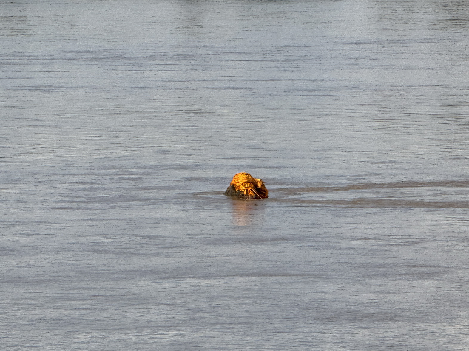 พระธาตุกลางน้ำ