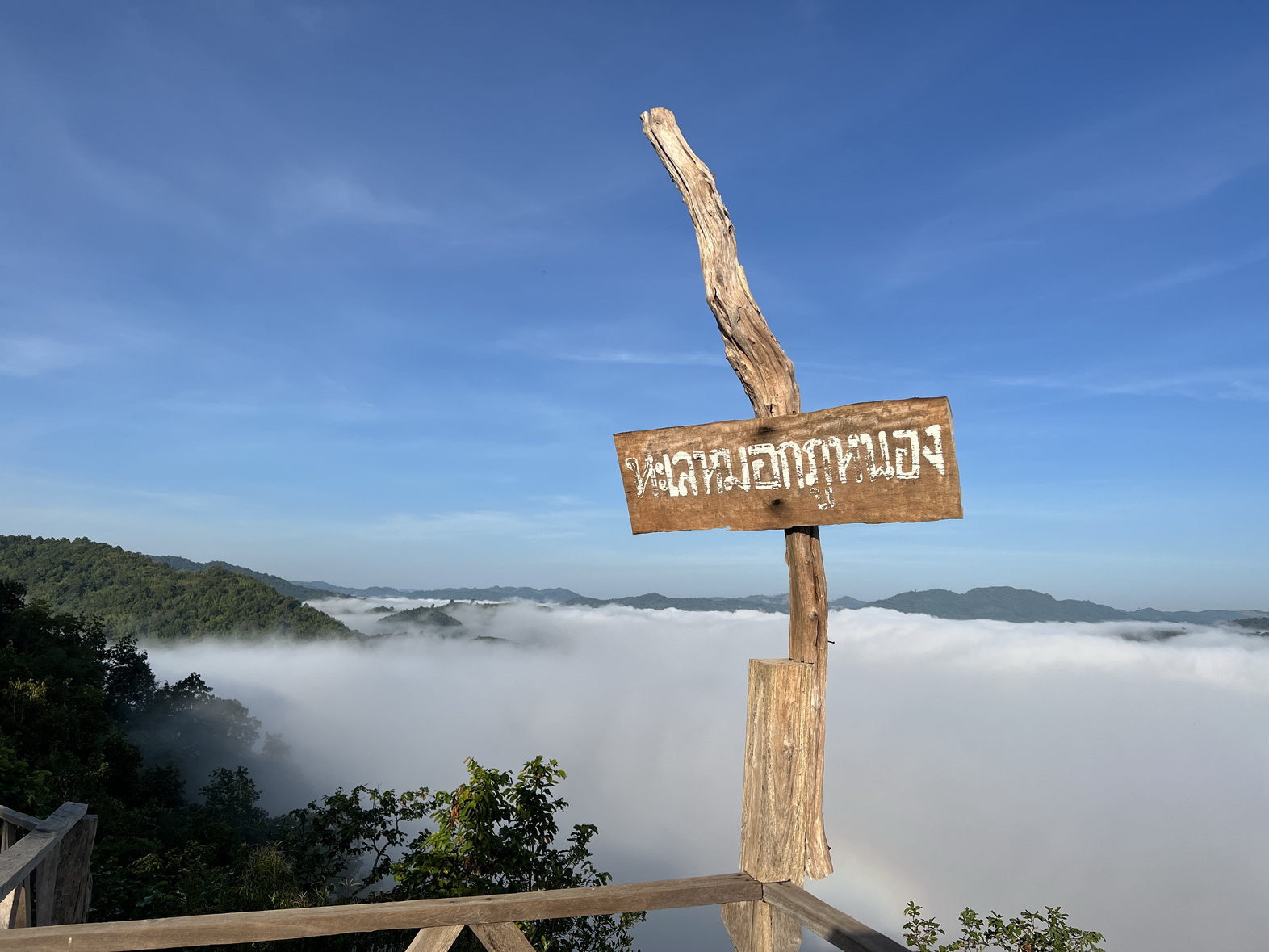 ทะเลหมอกภูหนอง