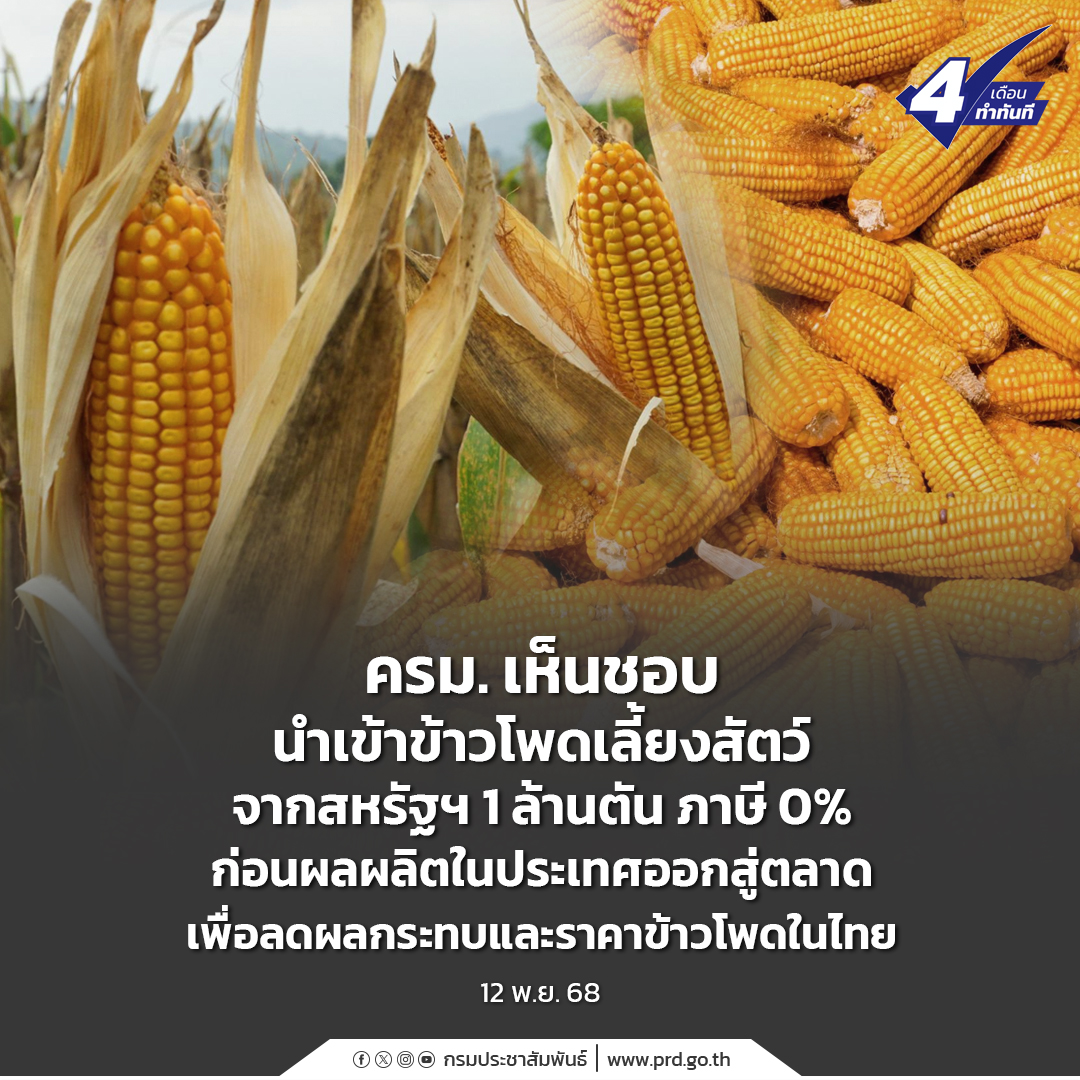 ครม. เห็นชอบนำเข้าข้าวโพดเลี้ยงสัตว์จากสหรัฐฯ 1 ล้านตัน ภาษี 0% ก่อนผลผลิตในประเทศออกสู่ตลาด เพื่อลดผลกระทบและราคาข้าวโพดในไทย